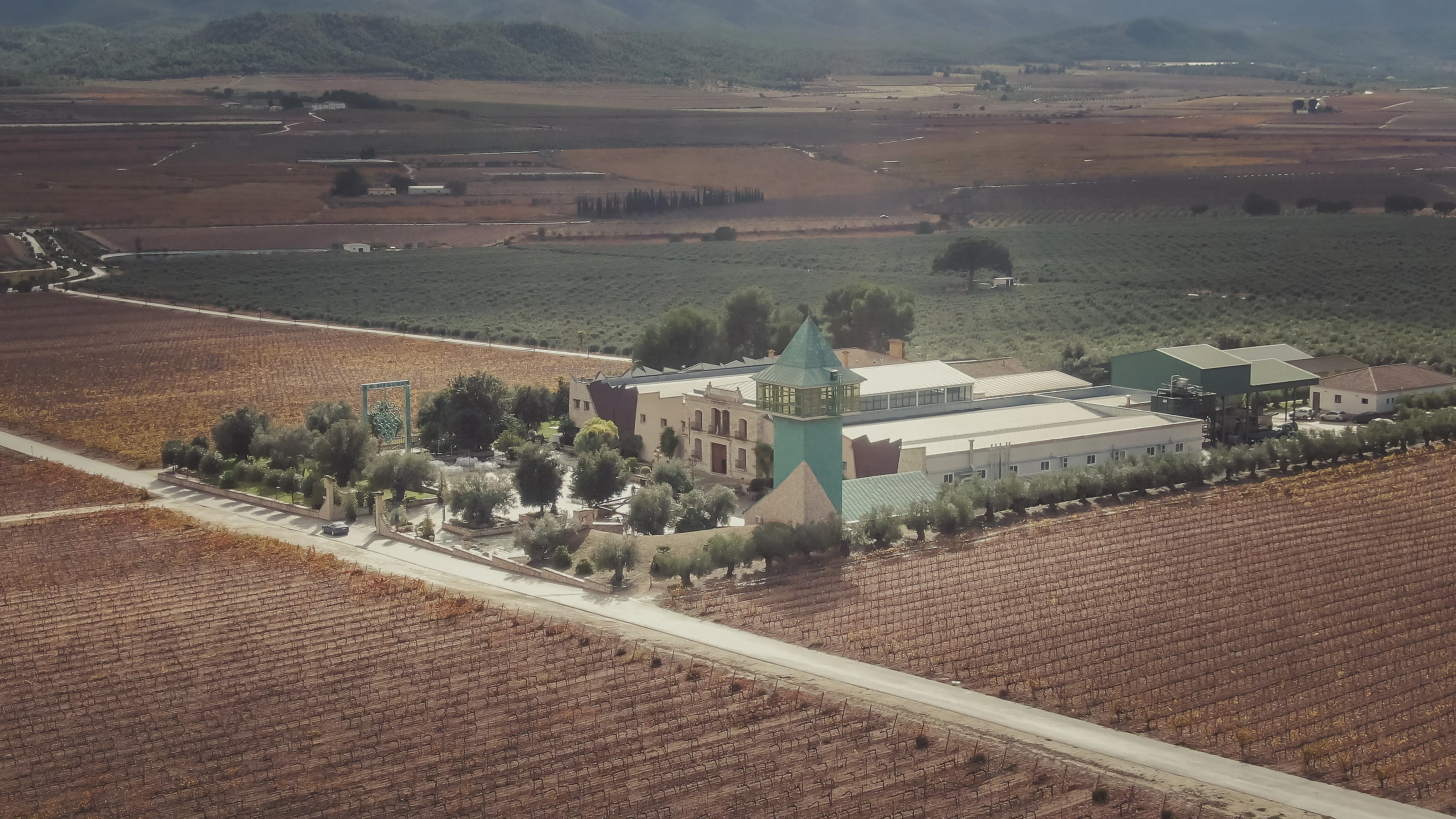 Vista aérea de la finca entre campos de viñedos